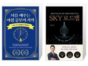 핫딜 sky로드맵 BEST 제품