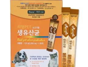 요즘 핫한 고양이유산균베츠 추천