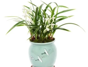 특가 난 만족도 최고 제품