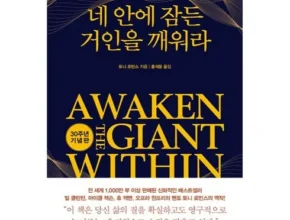 요즘 뜨는 네안에잠든거인을깨워라 BEST 제품