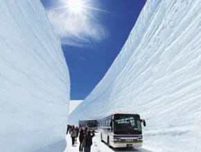 인플추천 도야마알펜루트 가격 비교