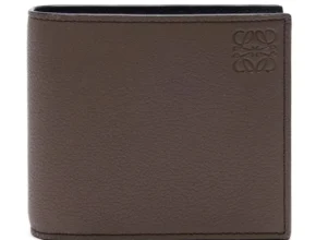 요즘 핫한 로에베지갑 추천