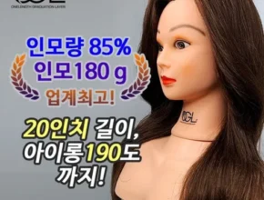 요즘 핫한 모리스가발 추천