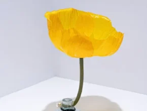 특가 베타꽃침대 가격 비교