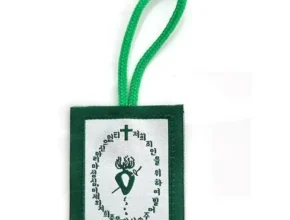 특가 스카폴라 핫 아이템