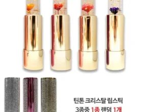 내돈내산 시크릿젤리립스틱 토트백 패키지 BEST 제품