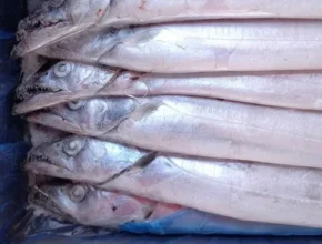 인플추천 싱싱 토막 갈치 400g  7팩   총 2.8kg 가격 비교