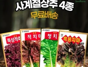 내돈내산 씨앗 최고 인기 제품