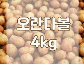 인플추천 알알이 BEST 제품