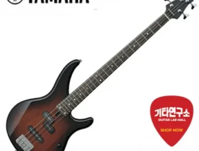 요즘 뜨는 야마하베이스 가성비 좋은 제품