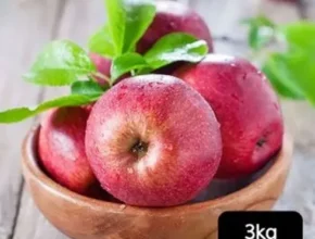 특가 열매나무 특등급 사과 3kg 베스트셀러