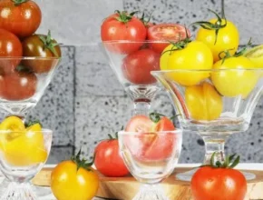 요즘 핫한 오색 칵테일 토마토 5kg 최고 인기 제품