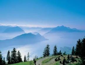 내돈내산 이탈리아스위스패키지 BEST 제품