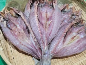 요즘 핫한 자연산반건조민어 가성비 좋은 제품