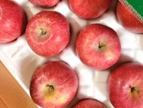 핫딜 자연향 부사보조개3kg2박스총6kg BEST 제품