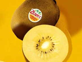 특가 제스프리 썬골드키위 24과스푼 2개 베스트셀러