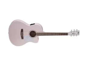 요즘 뜨는 콜트기타 품질 가격 최고 제품