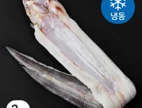 요즘 핫한 통발로 잡은 바다장어 45마리 가성비 좋은 제품