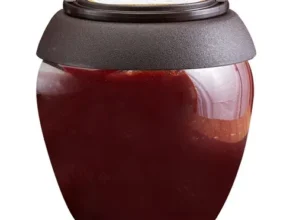 요즘 뜨는 피아골미선씨 가성비 좋은 제품