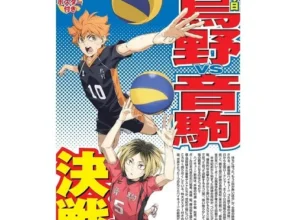 인플추천 하이큐잡지 베스트 추천 제품