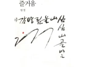 인플추천 홀로사는즐거움 가성비 좋은 제품