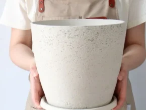 요즘 핫한 화분 핫 아이템