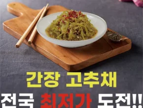 인플추천 고추채 가성비 좋은 제품