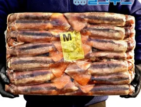 요즘 핫한 선동오징어 추천