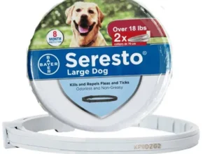 내돈내산 세레스토 TOP 제품